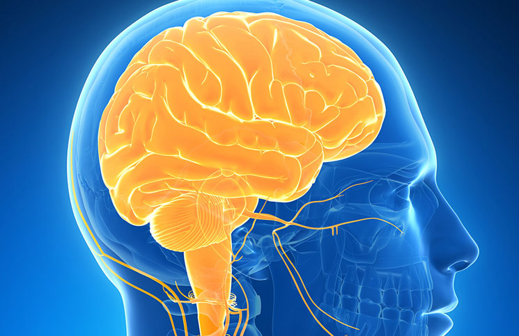 neurobion para el cerebro