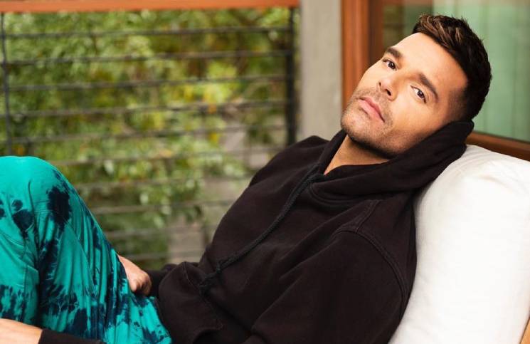 El provocador mensaje de Ricky Martin que incendió las redes: "No dormimos juntos"