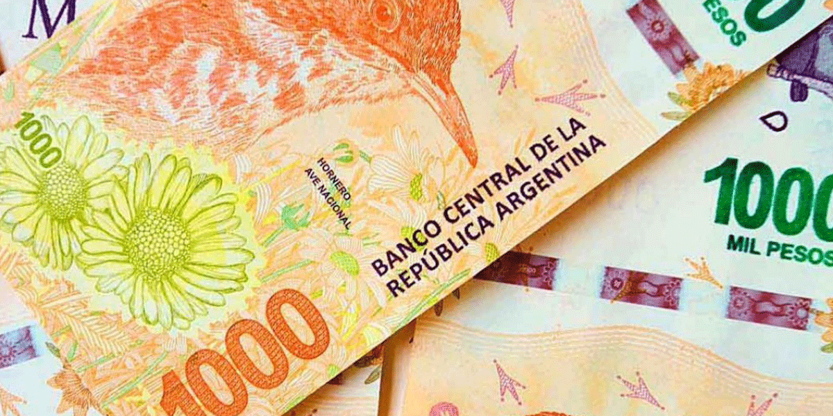Pagan hasta $200.000 por billetes argentinos: cuáles son y cómo identificarlos