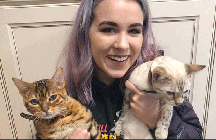 Video: filmó el extraño “miau” de su gato y se hizo viral