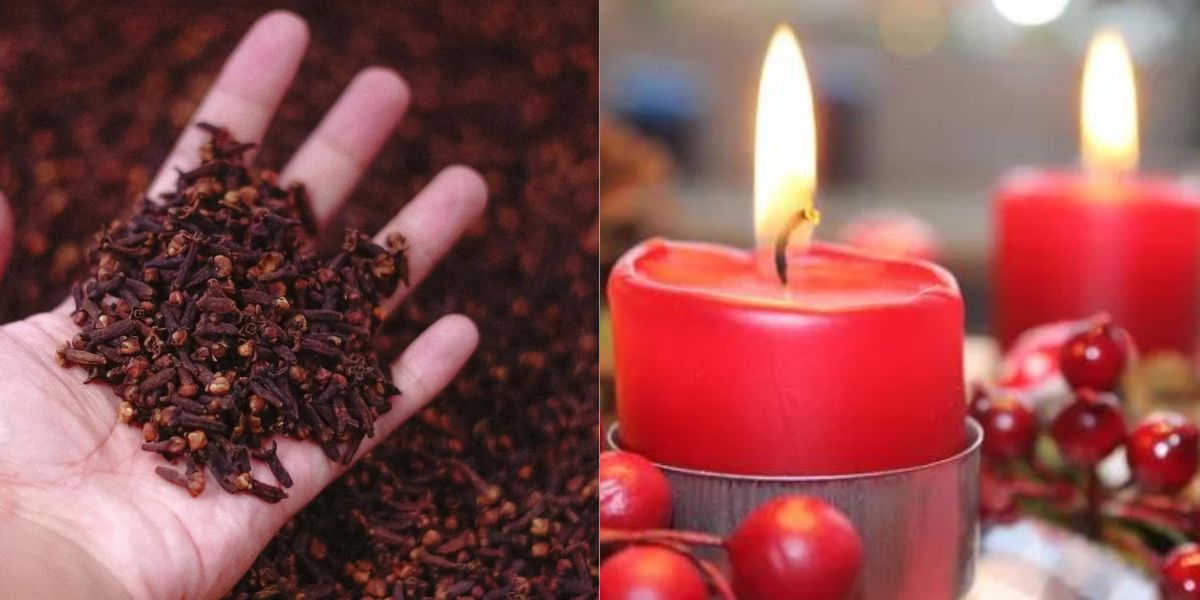 Clavo de olor: rituales para alejar las envidias y llamar a la prosperidad