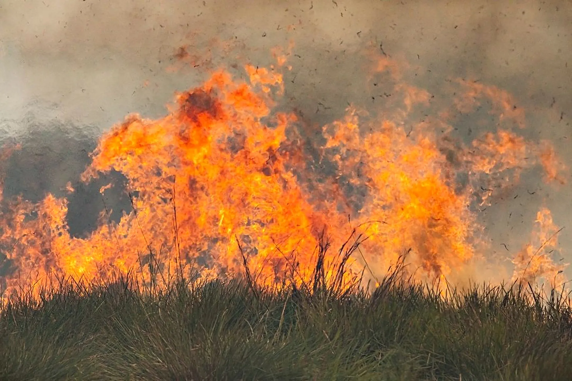 “No se puede esperar otra cosa de esa gente”: productores correntinos tras los dichos de La Cámpora sobre incendios intencionales