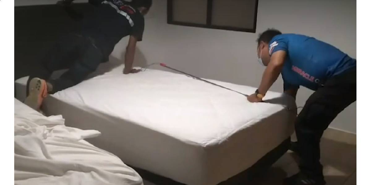 Entró a limpiar una habitación de hotel y se llevó flor de susto al ver un enorme animal debajo de la cama