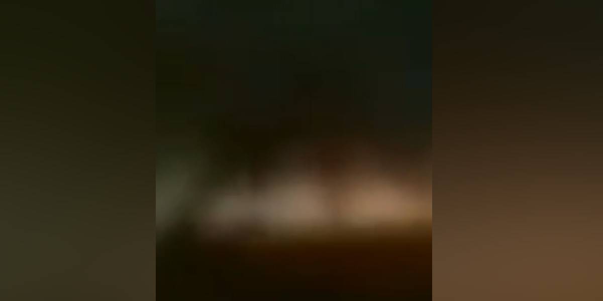 Lobizon o Luisón real filmado de noche 