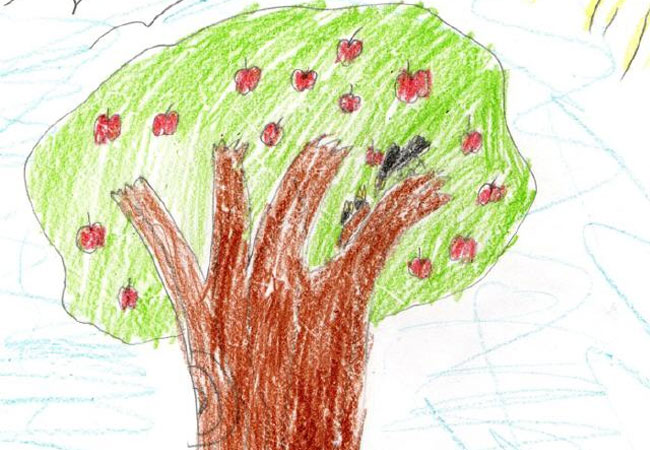 Dibujar un árbol: el test psicológico que revela aspectos ocultos de tu  personalidad | Mia FM