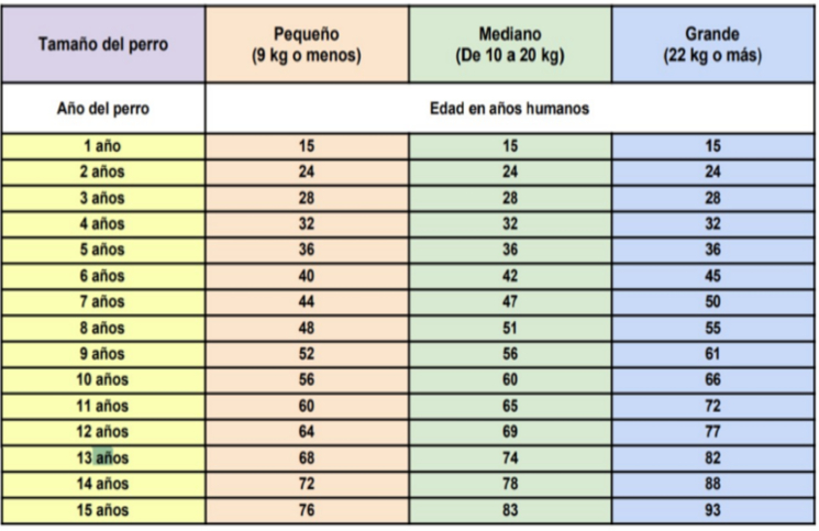 Estados Unidos Química coreano Qué edad tiene tu perro en años humanos (no son siete años) | Cienradios
