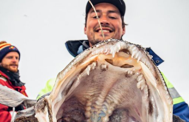 Un pescador se volvió viral mostrando las extrañas criaturas alienígenas que encontró en el fondo del mar