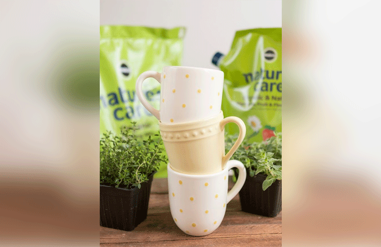 Plantar hierbas aromáticas en tazas ideal para tener una pequeña huerta dentro de casa