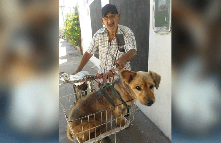 Un hombre “de casi 90 añitos” llevó a su perro al veterinario en bicicleta y se hizo viral
