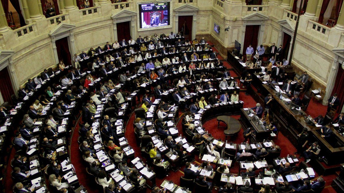Con el ingreso de los legisladores electos, Diputados define la conformación de sus comisiones