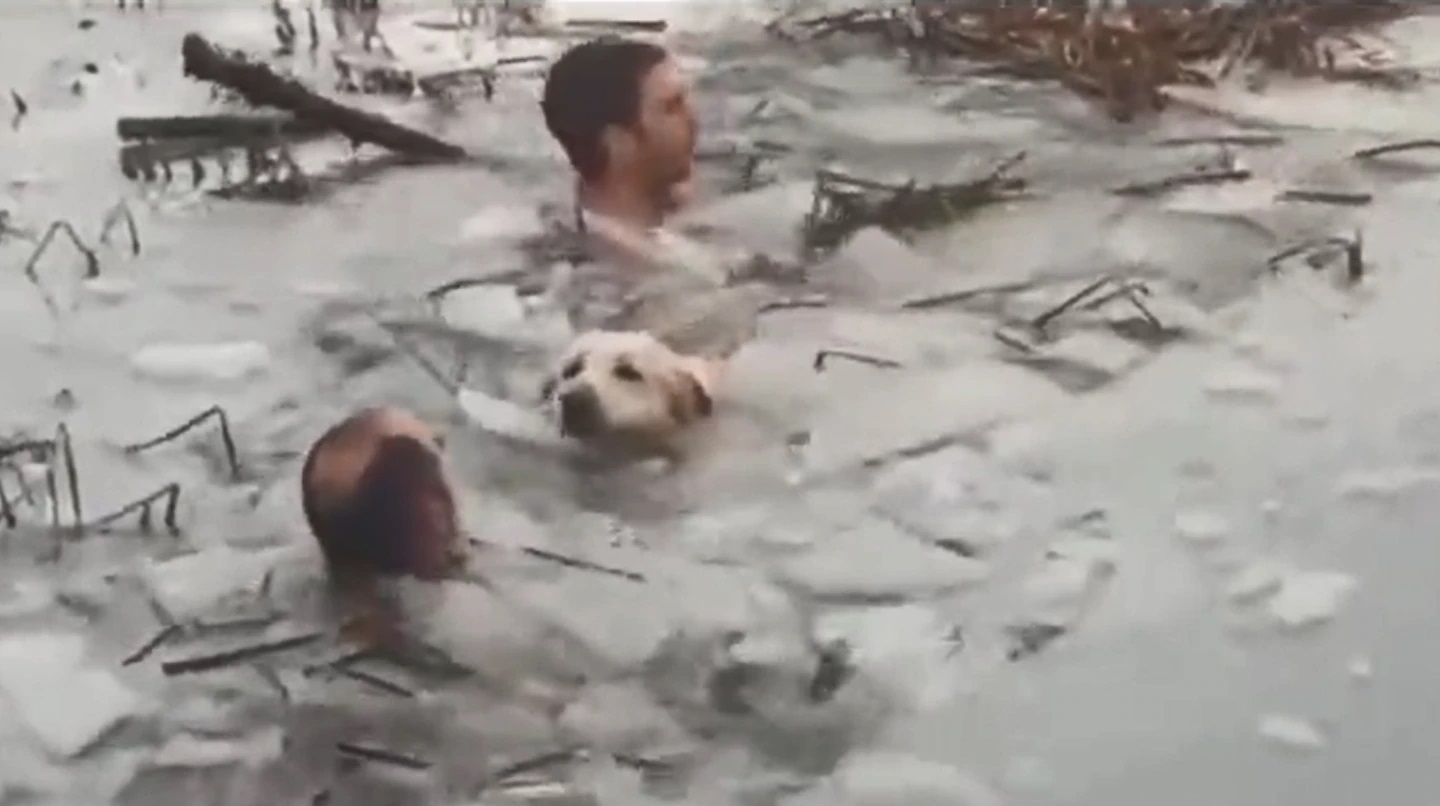 El emotivo rescate de un perro que había caído en un lago congelado en España 