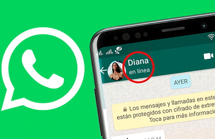 Trucos de WhatsApp: averigua quién está conectado y cuántas veces entró en la aplicación