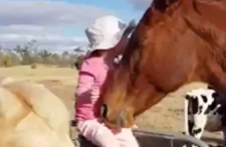 Un caballo escucha cantar a una nena una canción de Michael Jackson y su reacción es conmovedora