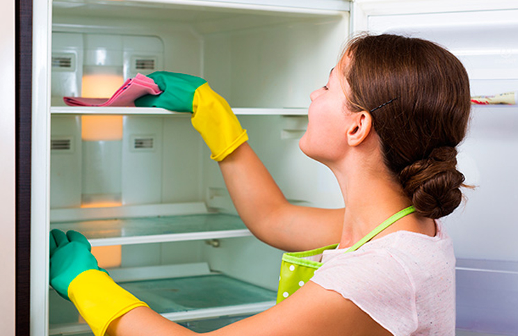 Cada cuánto es necesario limpiar la heladera y el freezer