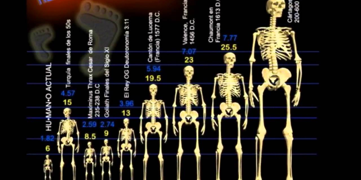 esqueleto humano gigante encontrado 2023