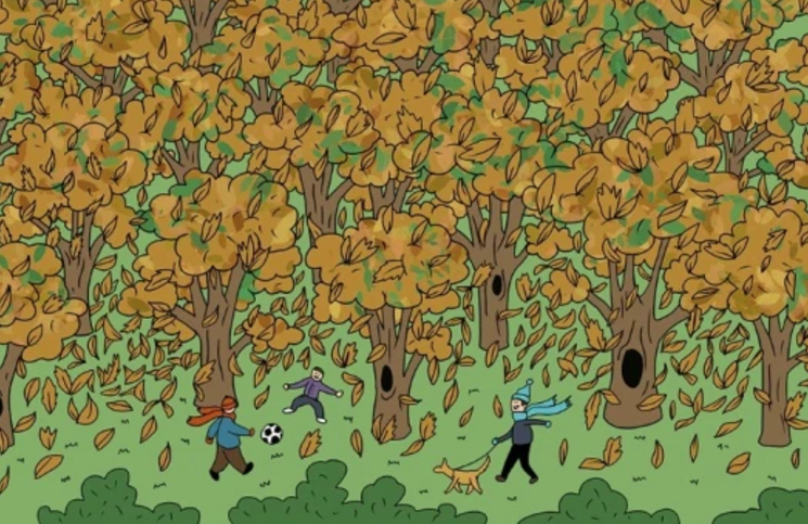 Los árboles que lloran: el extraño fenómeno que desconcierta en las calles  | La 100