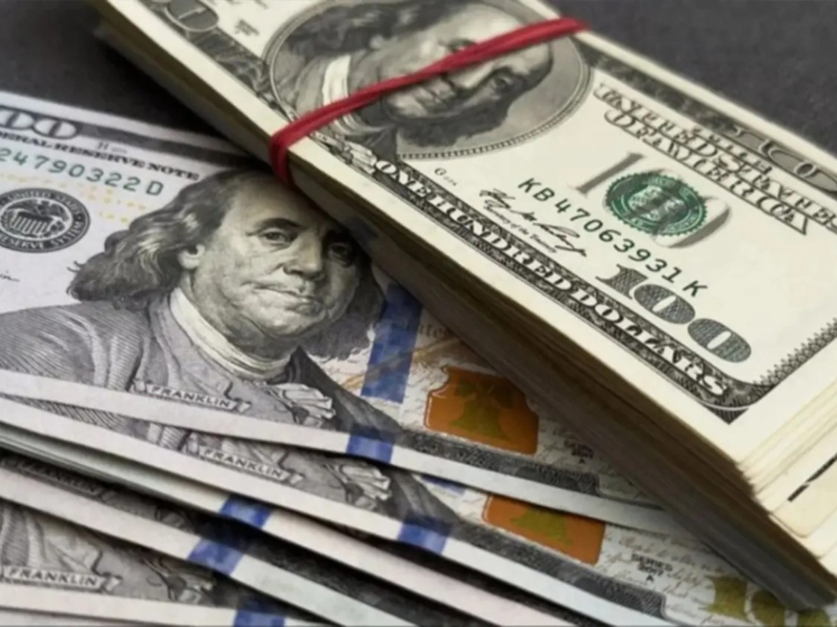 Dólar oficial hoy: cuánto está este domingo 29 de marzo ...