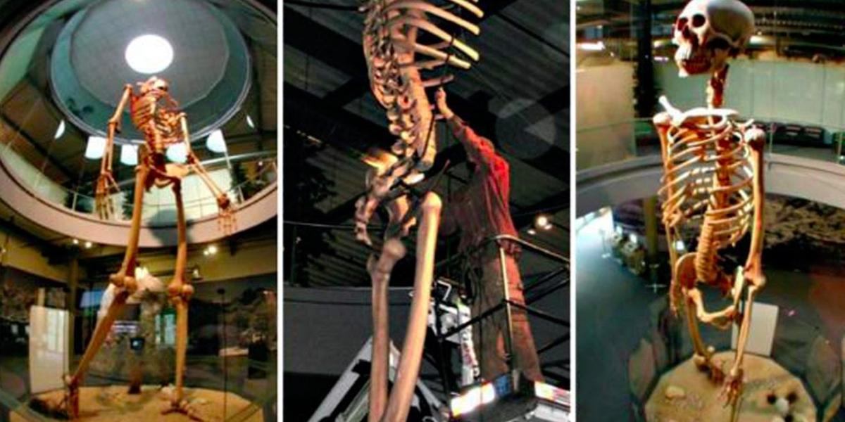 esqueleto humano gigante encontrado 2023