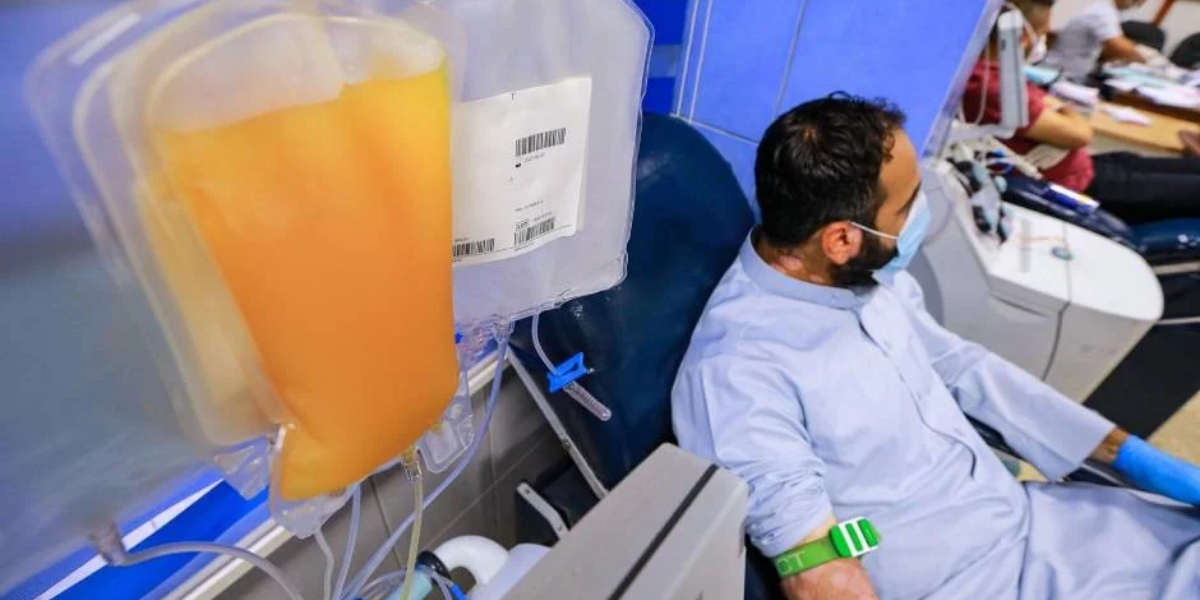 La OMS desaconsejó usar plasma como tratamiento para pacientes con coronavirus