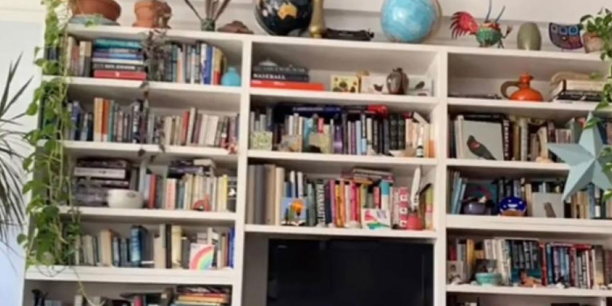 🔵Reto visual y viral: encontrar el gato escondido en una estantería en menos de 10 segundos