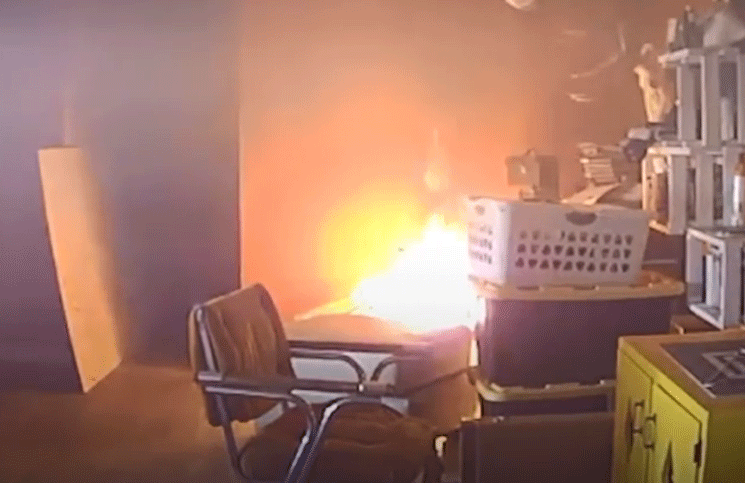 Video La reacción de un perro al provocar un terrible incendio en su casa se quedó mirándolo como una estatua
