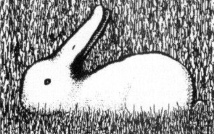 Pato o conejo?, el test de personalidad que revela tu nivel de optimismo |  Radio Mitre