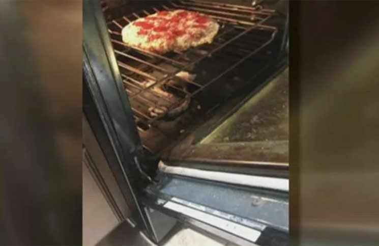 De terror: querían comer pizza casera y una serpiente les cambió los planes
