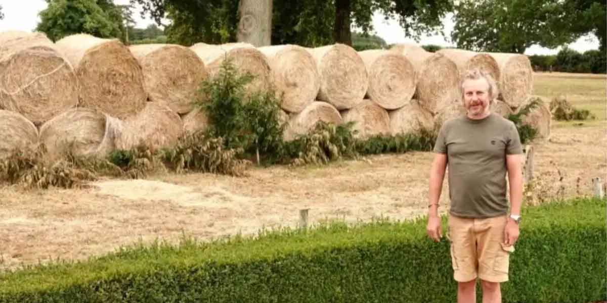 Construyó un muro para bloquear la vista de su vecino porque no quería ver su ropa colgada: “Trata de intimidarme” Construyó un muro para bloquear la vista de su vecino porque no quería ver su ropa colgada: “Trata de intimidarme”