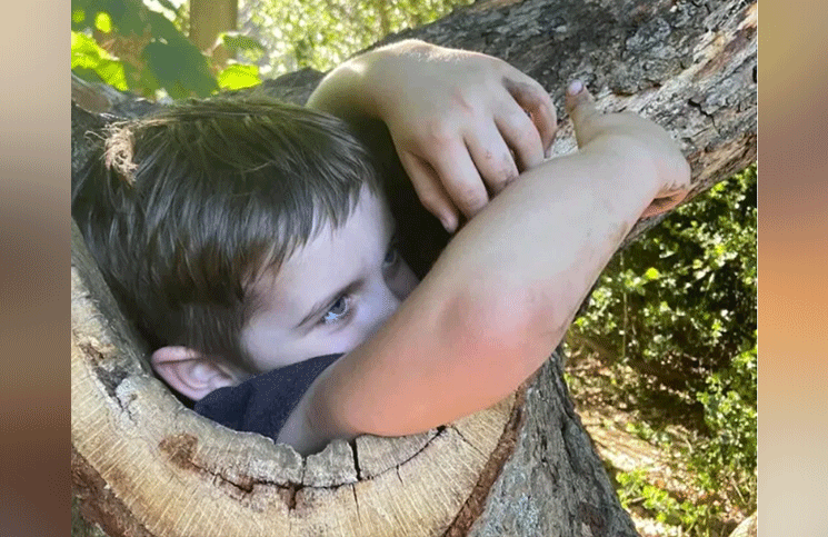 Viral: el insólito rescate de un nene de 4 años que quedó atrapado dentro de un árbol