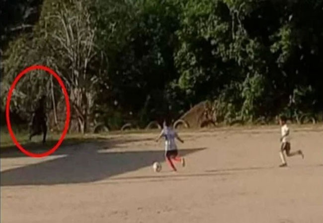 Un niño llorando: Captan en VIDEO a supuesto duende corriendo