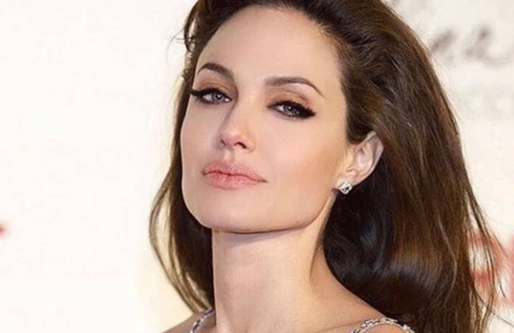 ¡Se agranda la familia! Angelina Jolie compró un tierno conejito blanco para sus hijos
