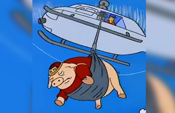 Los mejores memes: escándalo del cerdo arrojado desde el helicóptero en Punta del Este