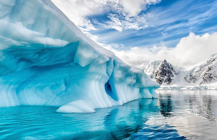 Los científicos confirmaron que la Antártida tenía una selva tropical