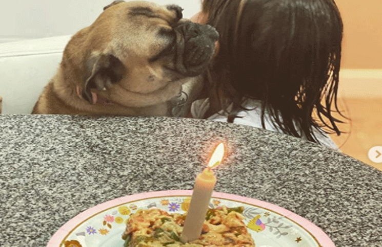 La China Suárez le hizo una torta (vegetariana) a su perrita: "Feliz primer año"