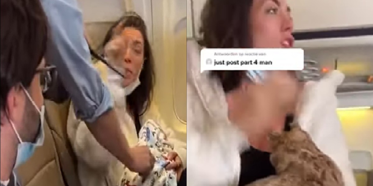 Fingía llevar a su bebé en el avión y descubrieron que era un animal embalsamado