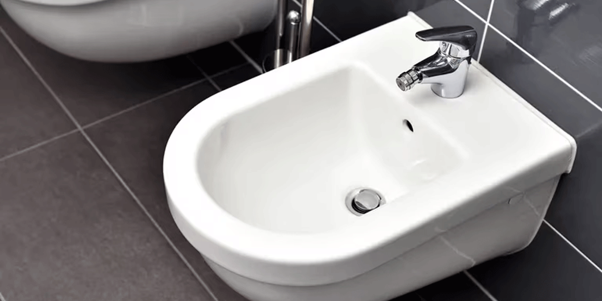 El escatológico video que muestra la importancia del bidet