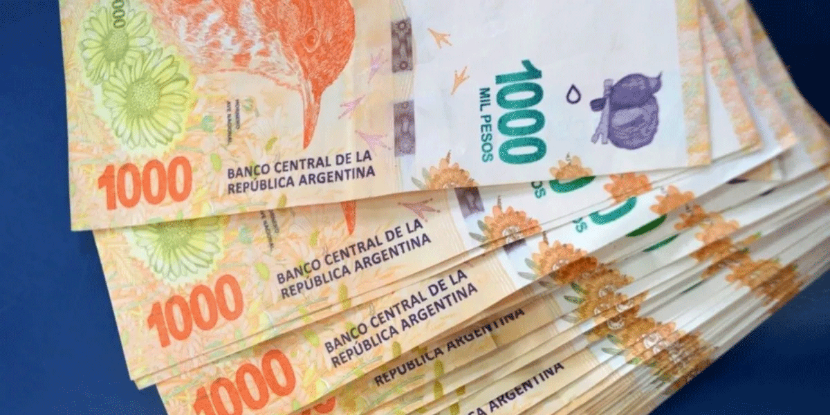 ANSES entrega un bono de $52.000 hasta agosto: quiénes pueden acceder