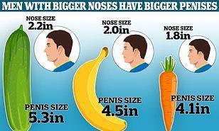 A olvidarse de los pies: los hombres con narices grandes tienden a tener penes más grandes según un estudio