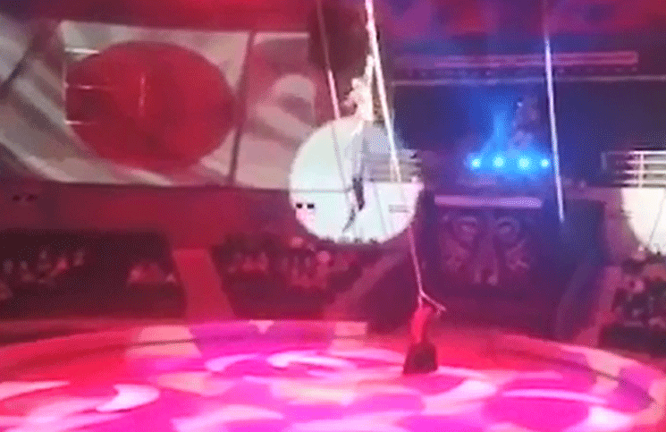 Video: una acróbata rusa tuvo una terrible caída durante un show en un circo