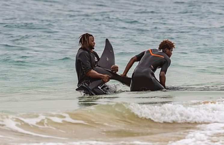 Salvaron a una ballena encallada y los tiburones se la comieron apareció muerta al día siguiente