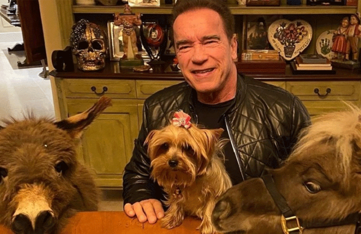 Video : Arnold Schwarzenegger adoptó un burrito como mascota y es furor en las redes