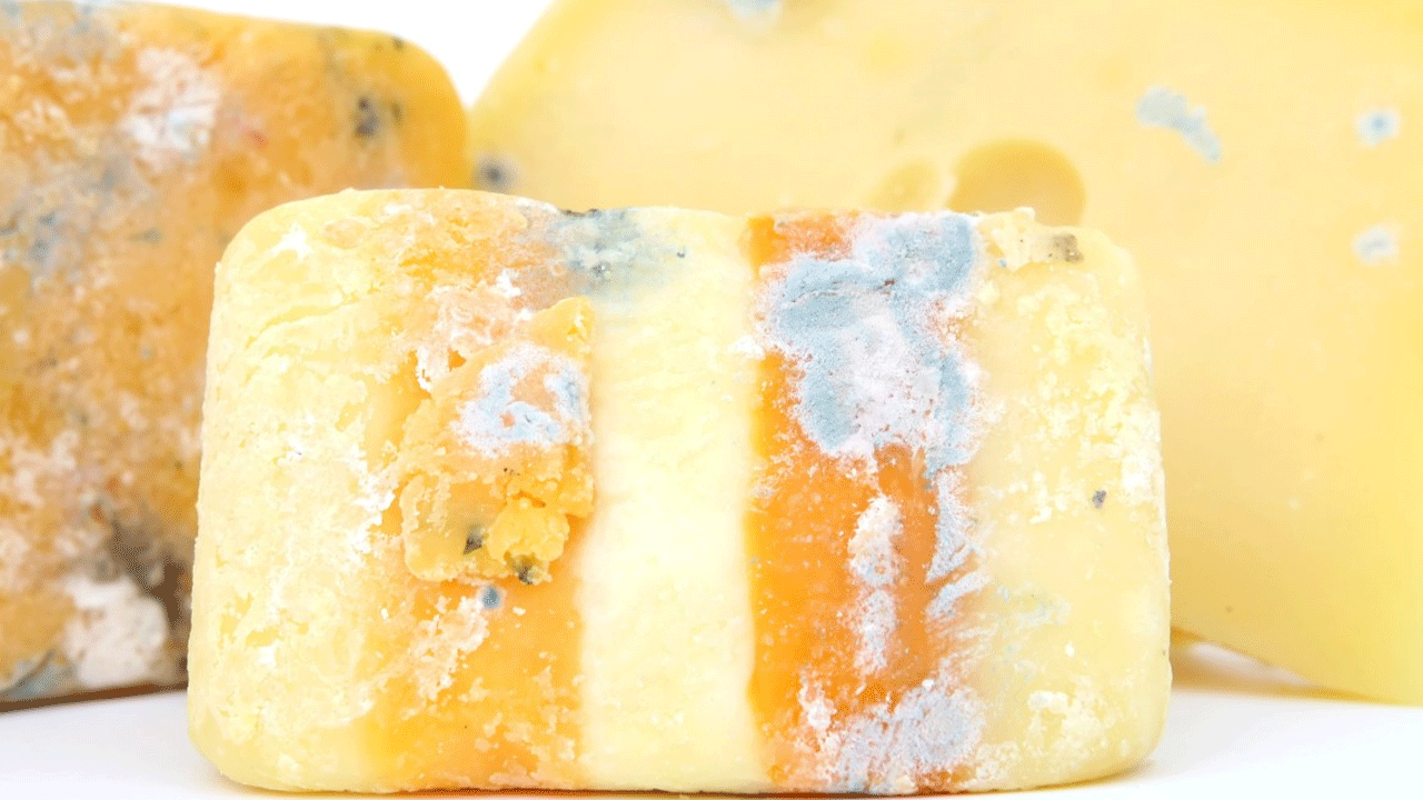 Heladera en cuarentena: Cómo saber si un queso está en mal estado