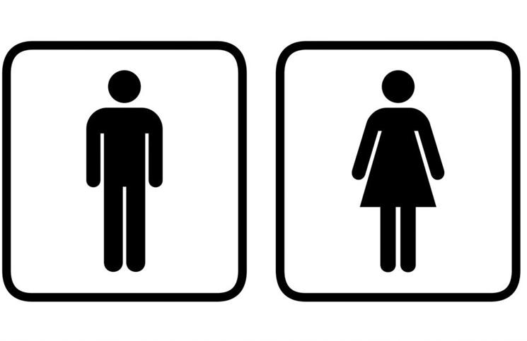 Por qué los asientos de los inodoros de los baños públicos son distintos a los de casa