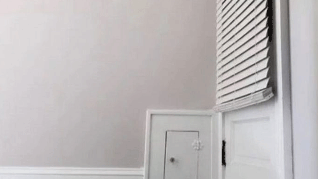 Se mudó a una casa nueva y encontró un puerta muy pequeña escondida en la pared