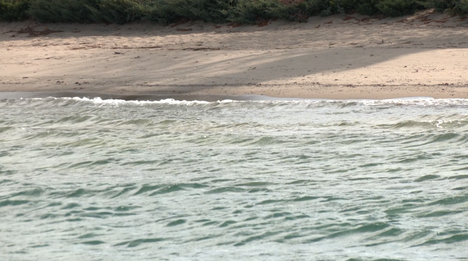 Waves On The Beach