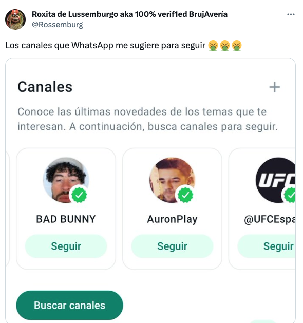 La nueva actualización de WhatsApp enoja a muchos usuarios