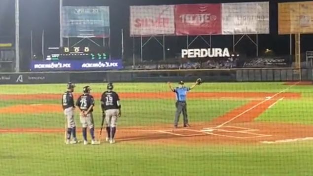 Rays de Tampa Bay despidió a 20 jugadores de ligas menores - Líder en  deportes