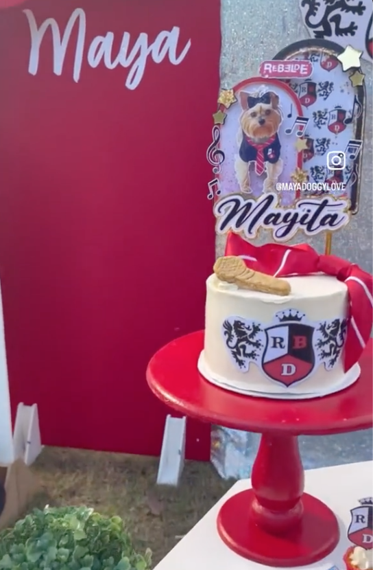 Celebran el cumpleaños 4 de su perrita con una fiesta al estilo Rebelde  (VIDEO)