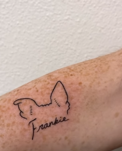 Reviven video de “Obedece a la morsa” por un fanático que se tatuó