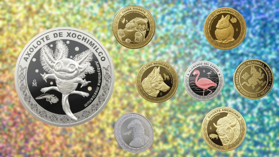 Nuevas monedas conmemorativas mexicanas: 100 años del Zoológico de  Chapultepec